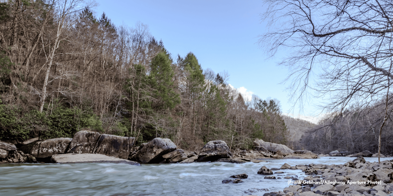 American Rivers names Gauley River to America’s Most Endangered Rivers® of 2025, due to toxic coal mining pollution