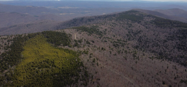 Andrew Young explains the South Fork Coal issue