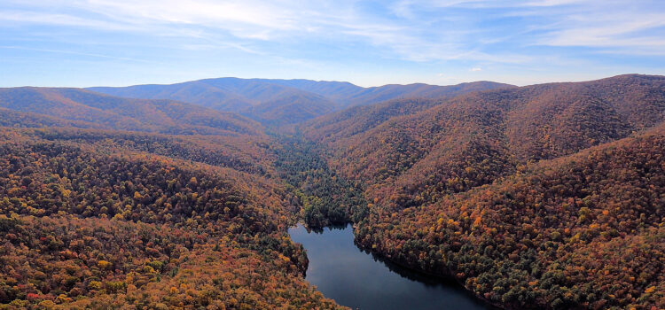 Shenandoah Mountain Act and Virginia Wilderness Additions Act Reintroduced in the U.S. Senate Shenandoah Mountain Act and Virginia Wilderness Additions Act Reintroduced in the U.S. Senate