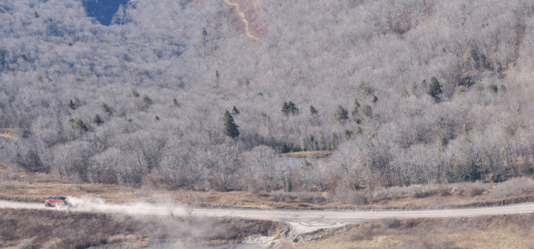 Federal court clears path for legal challenges to coal-hauling in Monongahela National Forest